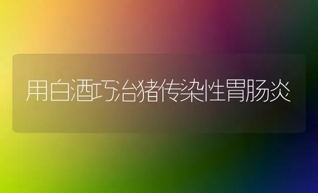 用白酒巧治猪传染性胃肠炎 | 家畜养殖