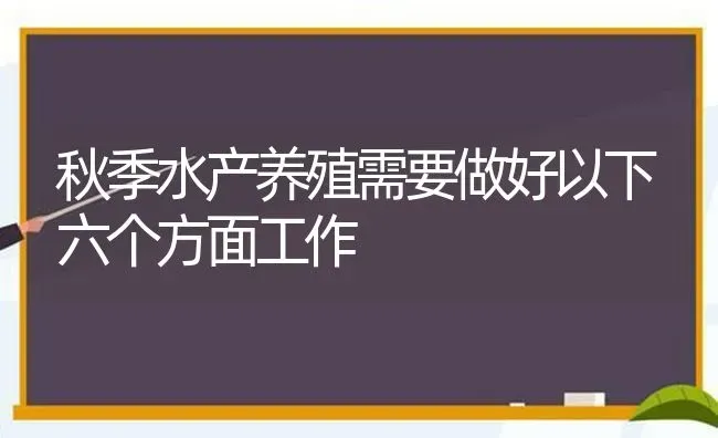 秋季水产养殖需要做好以下六个方面工作 | 动物养殖百科