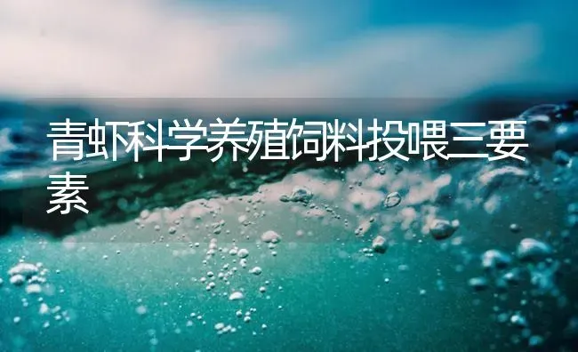 青虾科学养殖饲料投喂三要素 | 海水养殖