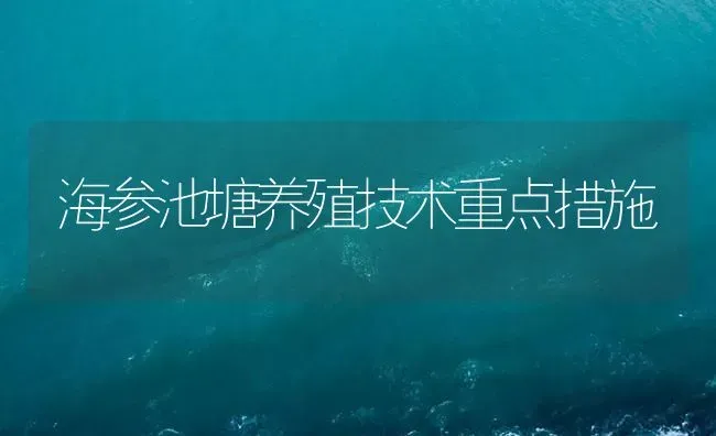 海参池塘养殖技术重点措施 | 海水养殖