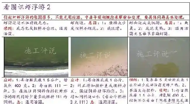 南美白对虾养殖户要注意：对虾出现集体狂游要冷静面对