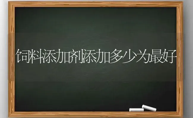 饲料添加剂添加多少为最好 | 动物养殖饲料