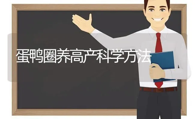 蛋鸭圈养高产科学方法 | 家禽养殖