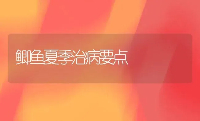 鲫鱼夏季治病要点 | 淡水养殖