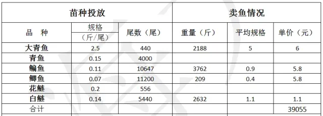 鳊鱼行情好转的情况下养殖户如何迅速提升成品鱼规格