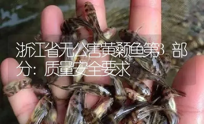 浙江省无公害黄颡鱼第3部分：质量安全要求 | 淡水养殖