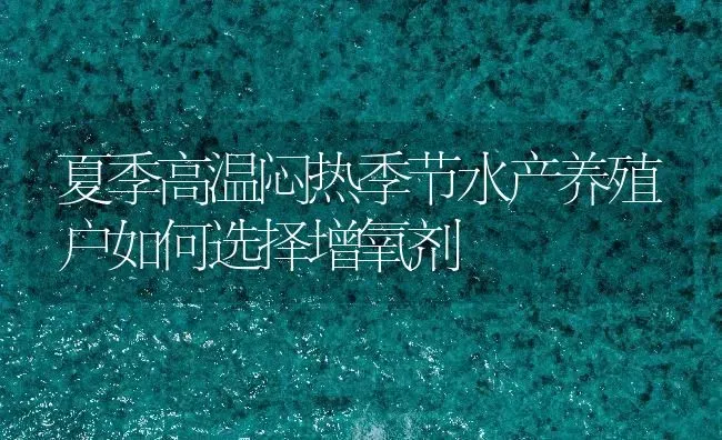 夏季高温闷热季节水产养殖户如何选择增氧剂 | 动物养殖百科