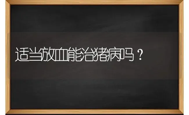 适当放血能治猪病吗？ | 家畜养殖