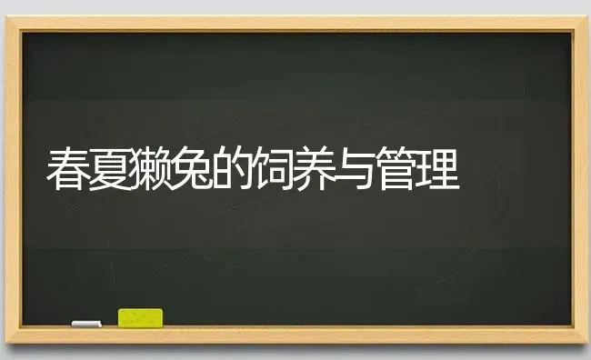 春夏獭兔的饲养与管理 | 家畜养殖