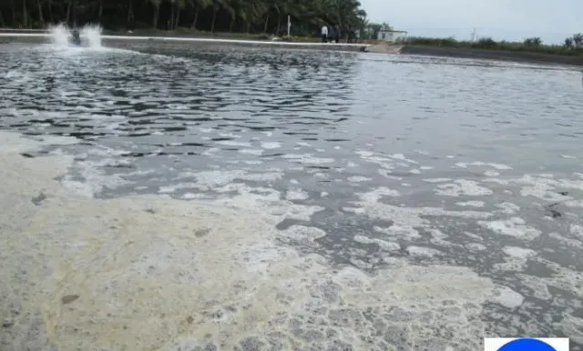 水产养殖户如何迅速判断底的好坏
