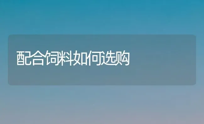配合饲料如何选购 | 动物养殖饲料