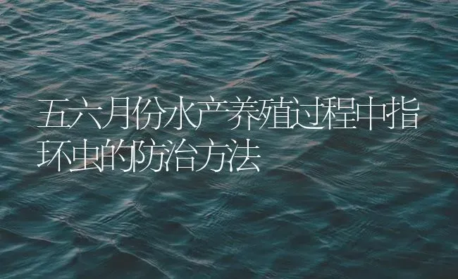 五六月份水产养殖过程中指环虫的防治方法 | 养殖病虫害防治