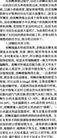 泥鳅养殖或暂养过程中的大量死亡原因及防治方法