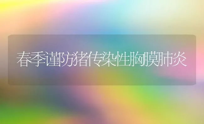 春季谨防猪传染性胸膜肺炎 | 家畜养殖