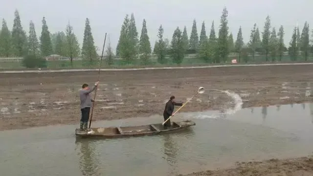 河蟹池塘白浊水问题的成功处理案例