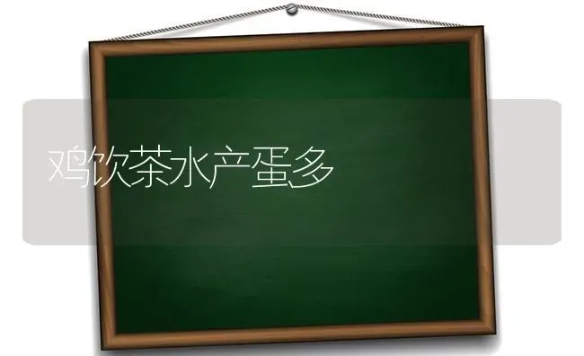 鸡饮茶水产蛋多 | 家禽养殖