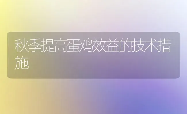 秋季提高蛋鸡效益的技术措施 | 家禽养殖