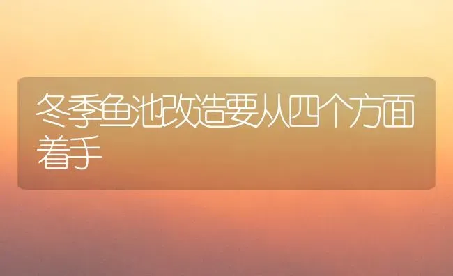 冬季鱼池改造要从四个方面着手 | 淡水养殖