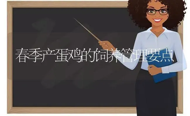 春季产蛋鸡的饲养管理要点 | 家禽养殖