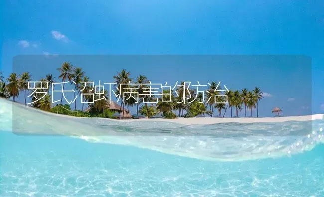 罗氏沼虾病害的防治 | 海水养殖