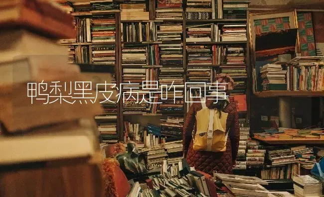 鸭梨黑皮病是咋回事 | 家禽养殖