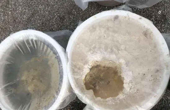 实战派：常规淡水养殖鱼类水花标粗技术要点