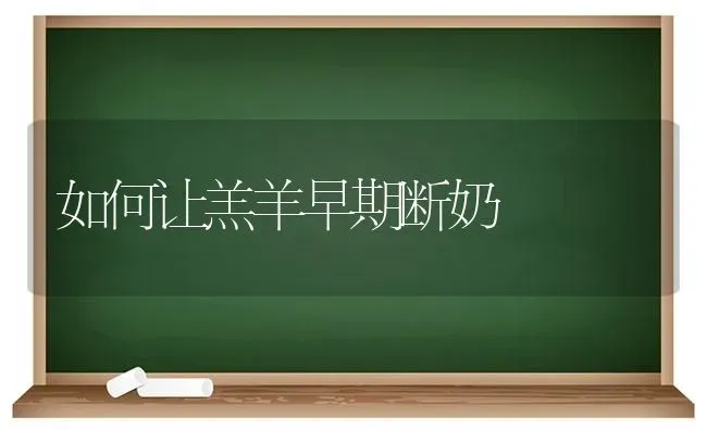 如何让羔羊早期断奶 | 家畜养殖