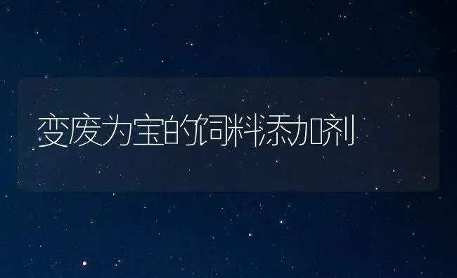 变废为宝的饲料添加剂 | 动物养殖饲料