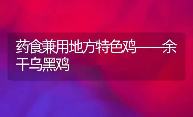 药食兼用地方特色鸡——余干乌黑鸡 | 养殖病虫害防治