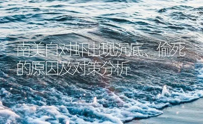 南美白对虾出现沉底、偷死的原因及对策分析 | 海水养殖