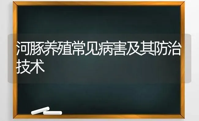 河豚养殖常见病害及其防治技术 | 动物养殖百科