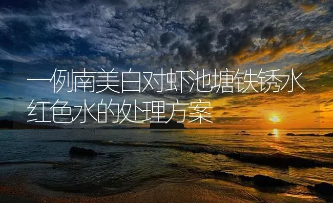 一例南美白对虾池塘铁锈水红色水的处理方案 | 海水养殖
