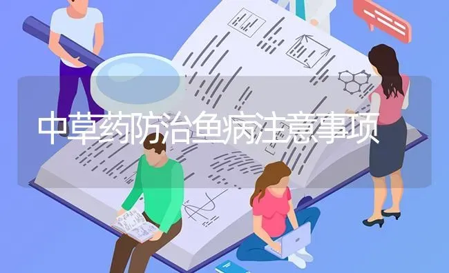 中草药防治鱼病注意事项 | 养殖病虫害防治