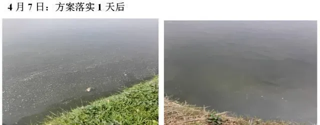 池塘倒藻后用“101+藻源素”快速肥水效果好