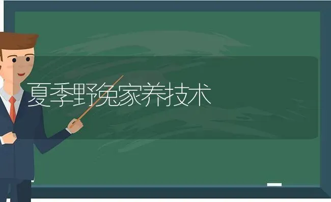 夏季野兔家养技术 | 家畜养殖