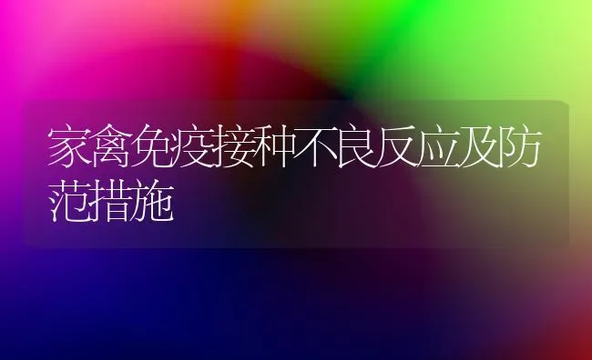 家禽免疫接种不良反应及防范措施 | 家禽养殖