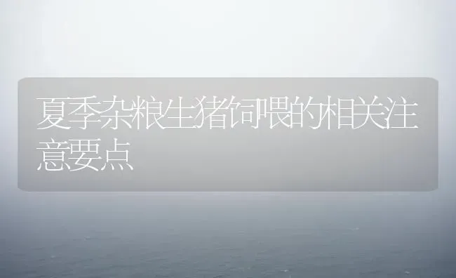 夏季杂粮生猪饲喂的相关注意要点 | 家畜养殖