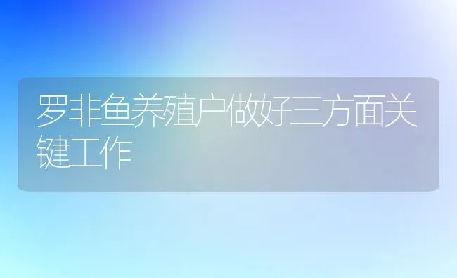 罗非鱼养殖户做好三方面关键工作 | 淡水养殖