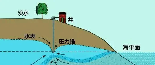 养对虾矿物质很重要，怎么加，加多少，这里有一条实用公式