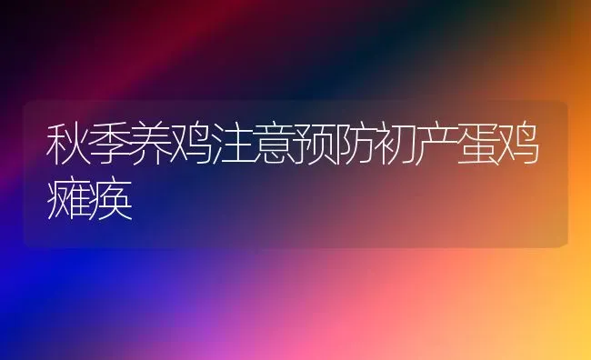 秋季养鸡注意预防初产蛋鸡瘫痪 | 家禽养殖