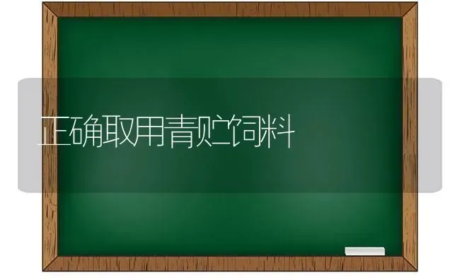 正确取用青贮饲料 | 动物养殖饲料