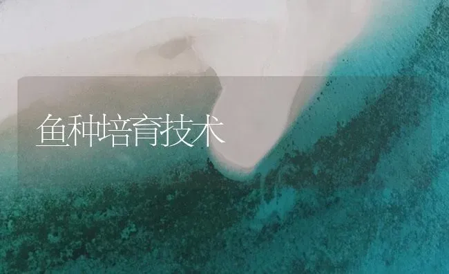 鱼种培育技术 | 淡水养殖