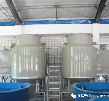 农业农村部2019农业主推技术：淡水工厂化循环水健康养殖技术