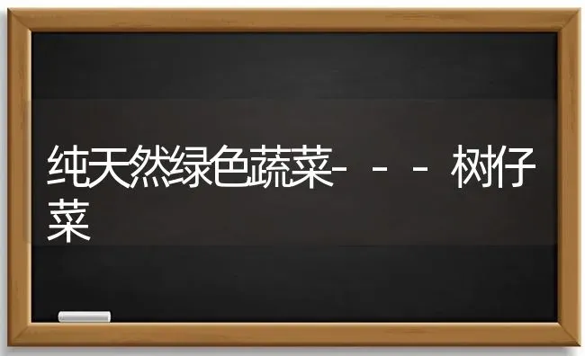 青年蛋鸭饲喂两忌 | 家禽养殖