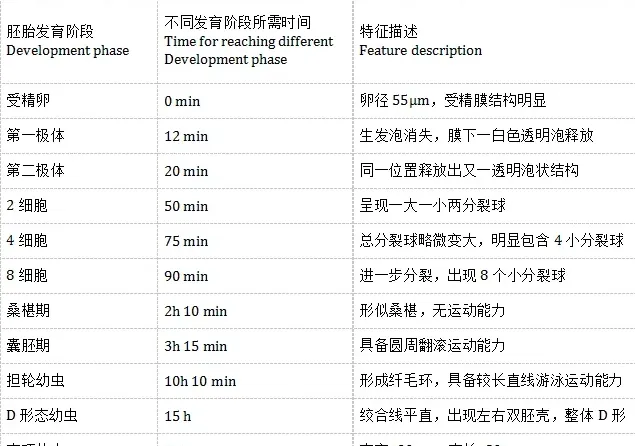 熊本牡蛎（crassostrea sikamea）人工繁育技术研究