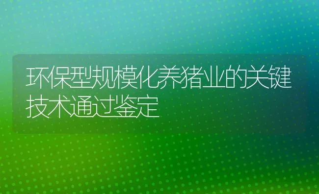 环保型规模化养猪业的关键技术通过鉴定 | 家畜养殖