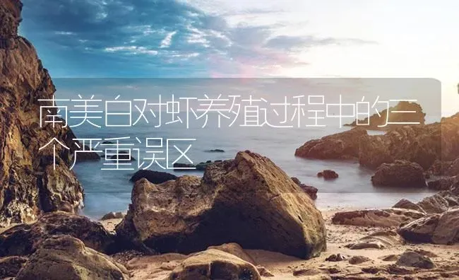 南美白对虾养殖过程中的三个严重误区 | 海水养殖