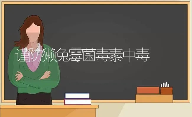 谨防獭兔霉菌毒素中毒 | 家畜养殖