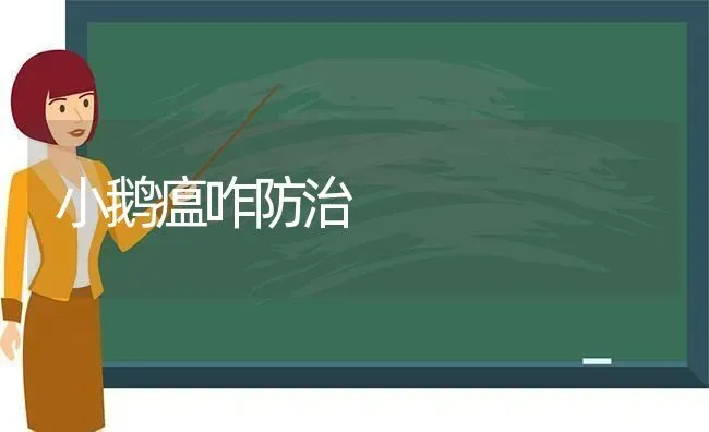 小鹅瘟咋防治 | 家禽养殖