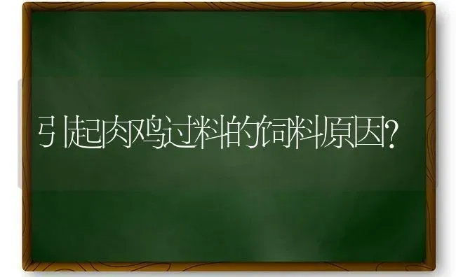 引起肉鸡过料的饲料原因？ | 家禽养殖